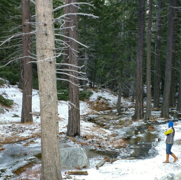 2nd Tim 1:7 Love, Power, Sound Mind - Picture 15 of 16